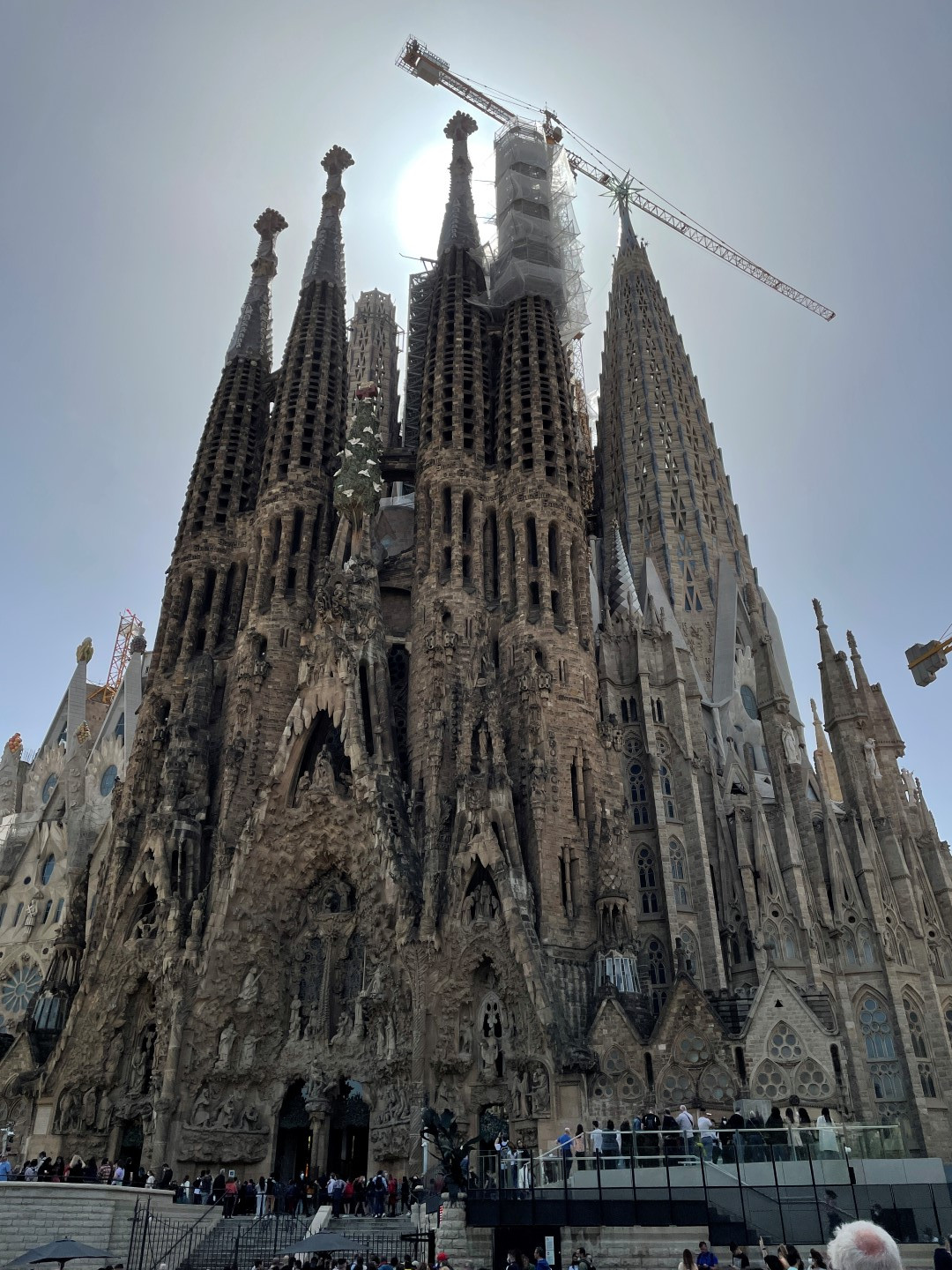 Höhepunkt-Sagrada-Familia-Stadtführung-Barcelona